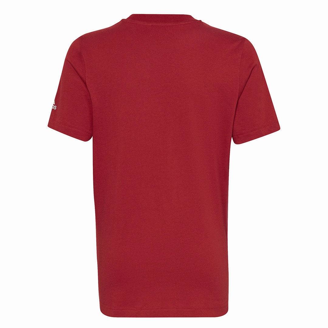 adidas - Kids' (Junior) FIFA World Cup 22 Official Emblem T-Shirt (HD6385)