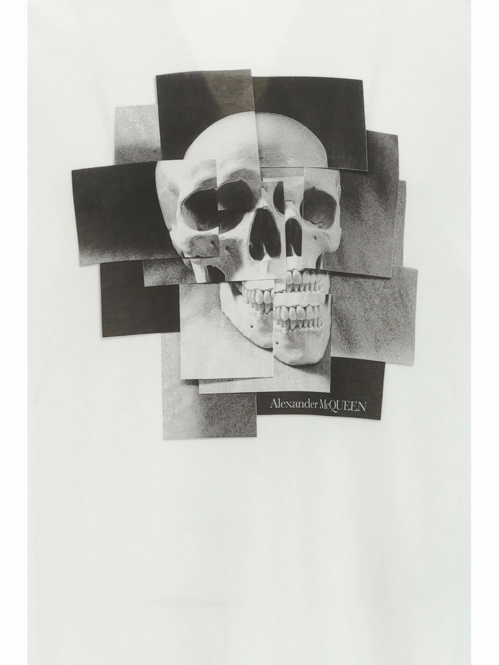Alexander McQueen Printed Crewneck T-Shirt
