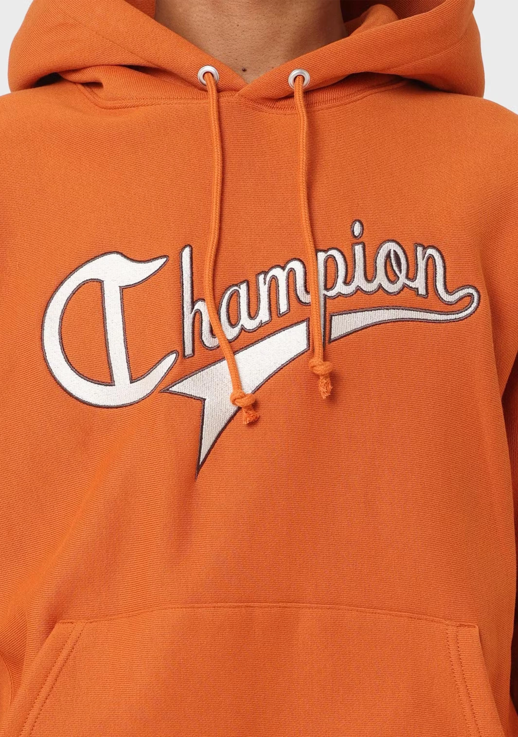 Champion Men's Reverse Weave Collegiate Cursive Script Hoodie