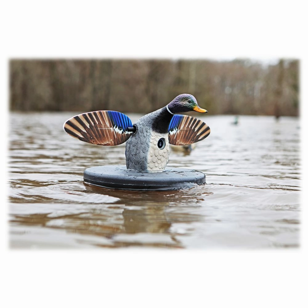MOJO Outdoors Elite Series Floater Mallard Motorized Duck Decoy