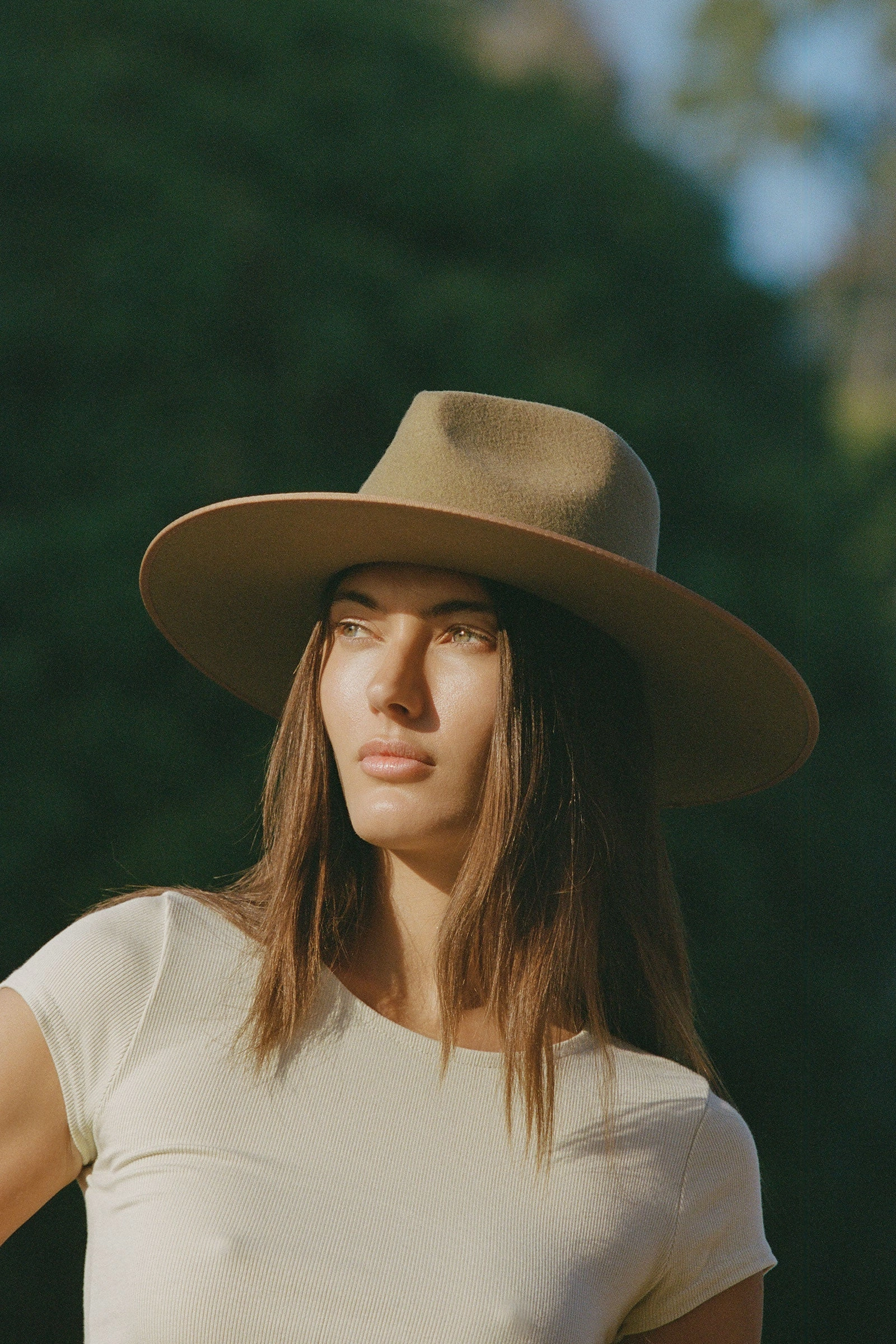 Teak Rancher